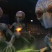 XCOM: Enemy Unknown Preview