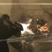 Mass Effect 3