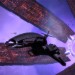  Retrospective – Mass Effect 1