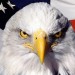 The United States Of Lucas Episode 1
