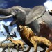 Boost Your Play met de Tokyo Jungle review