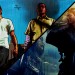 EvdWV over GTA V en Bioshock Infinite