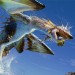 Monster Hunter 3 Ultimate Hands-on