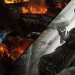 EvdWV over LucasArts en Black Ops 2 Uprising