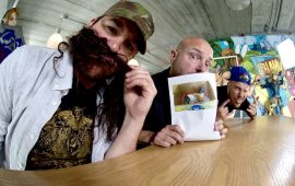 Brievenmaandag over kittens