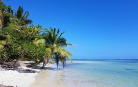 Top 3 games van Koos & Jelle voor op een onbewoond eiland