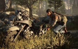 Days Gone