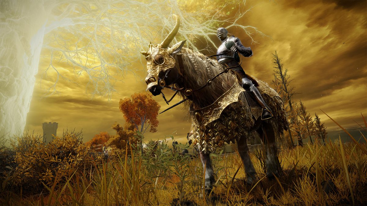 Elden Ring Tarnished Edition review: Kopen, budgetbak of slopen?