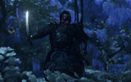 Ghost of Tsushima Director's Cut van Jelle