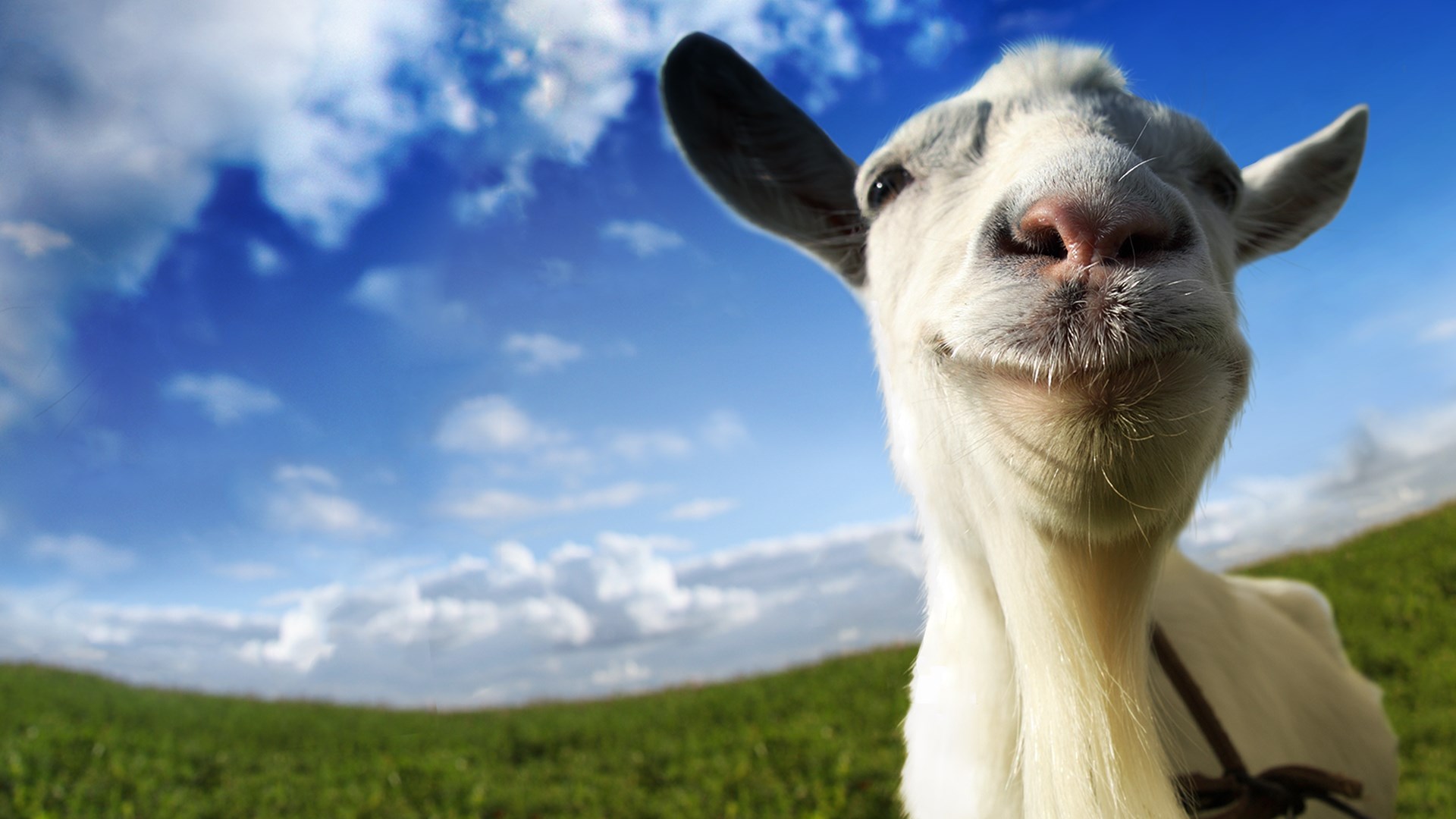 E3 2019 Goat Simulator ontwikkelaar komt met Sons of Conquest