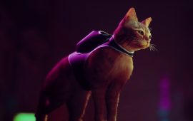 Stray review
