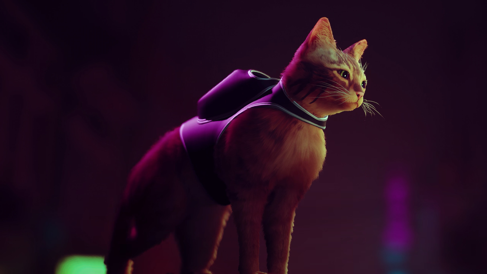 download stray xbox for free download stray xbox for free