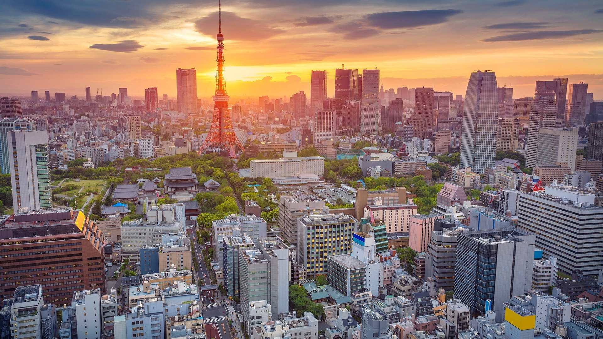 Het is aan! Gamekings gaat naar de Tokyo Game show 2018 Het is aan! Gamekings gaat naar de Tokyo Game show 2018