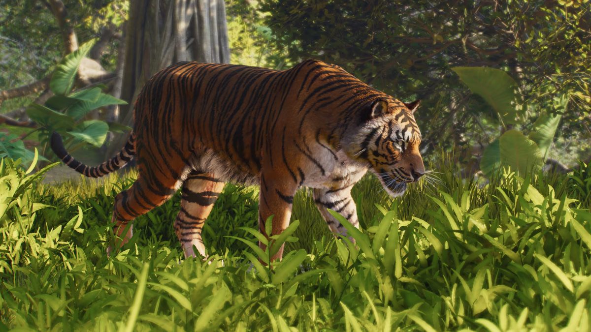 Planet Zoo 2 Review: Kopen, budgetbak of slopen?