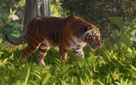 Planet Zoo 2 Review: Kopen, budgetbak of slopen?